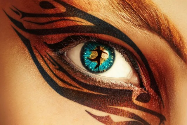 cats image cats image