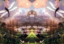 Kiss Dávid: Fosszília kiss dávid