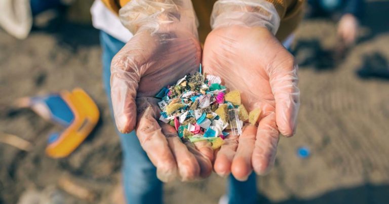 Előszennyezett generációk – A mikroműanyag jövője